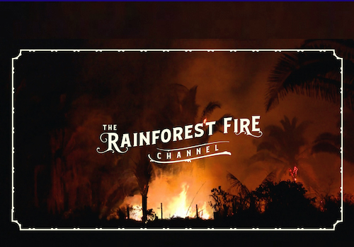 MUSE Advertising Awards - Rainforest Fire Channel
