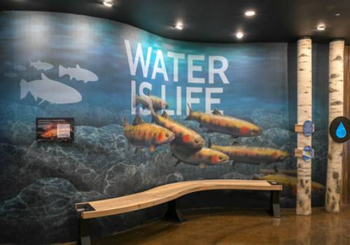 MUSE Advertising Awards - Headwaters River Journey: Exhibit Experience