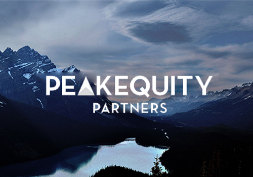 MUSE Advertising Awards - PeakEquity Partners Website