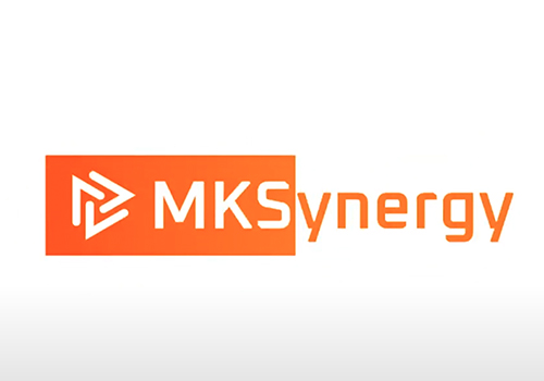 MUSE Advertising Awards - Branding for MKSynergy