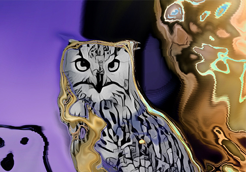 MUSE Advertising Awards - Majesty of an Owl