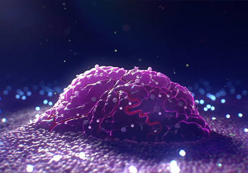 MUSE Advertising Awards - A Virus that Kills Cancer