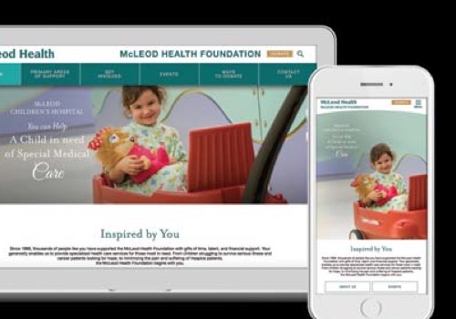 MUSE Winner - McLeod Foundation Website