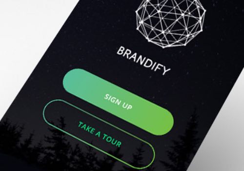 MUSE Winner - The Brandify App