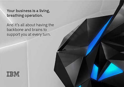 MUSE Advertising Awards - IBM Backbone and Brains 