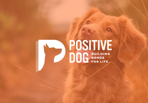 MUSE Advertising Awards - Positive Dog
