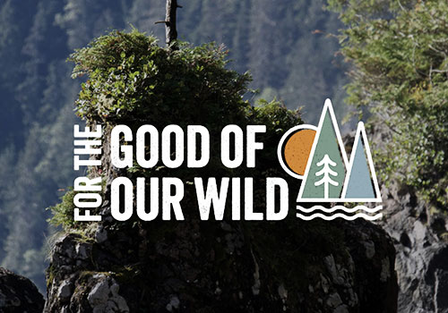 MUSE Advertising Awards - For the Good of Our Wild