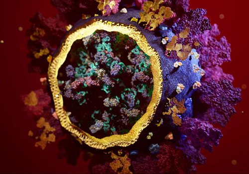 MUSE Advertising Awards - COVID-19 Infection and Vaccine Development | Animation