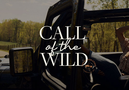 MUSE Advertising Awards - Call of the Wild