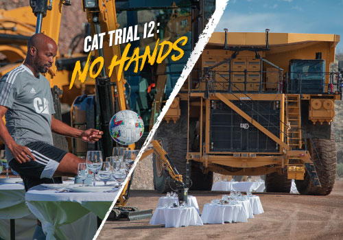 MUSE Advertising Awards - Cat Trial 12: No Hands