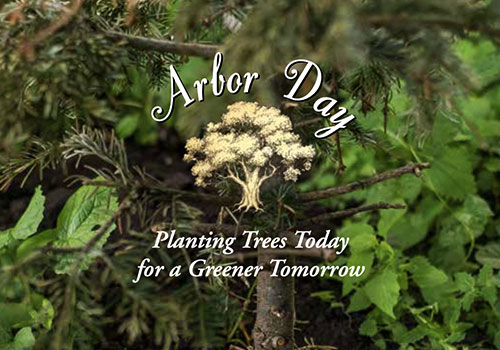 MUSE Advertising Awards - Arbor Day: Planting Trees Today for a Greener Tomorrow