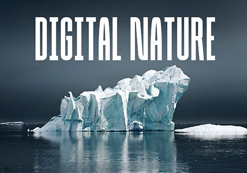 MUSE Advertising Awards - Digital Nature