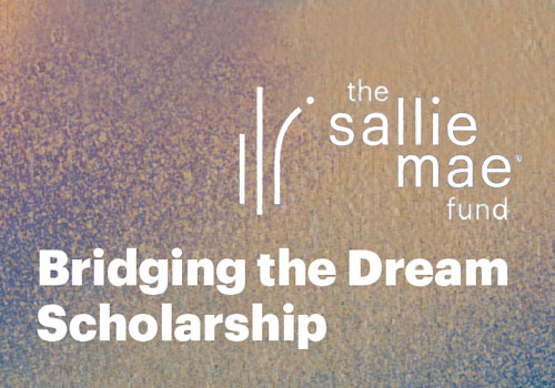 MUSE Advertising Awards - National Scholarship Month Campaign 