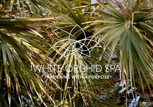 MUSE Advertising Awards - White Orchid Spa
