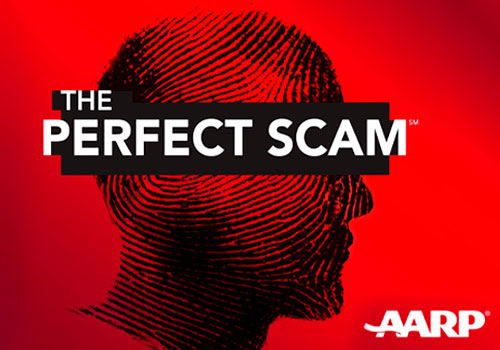 MUSE Advertising Awards - The Perfect Scam