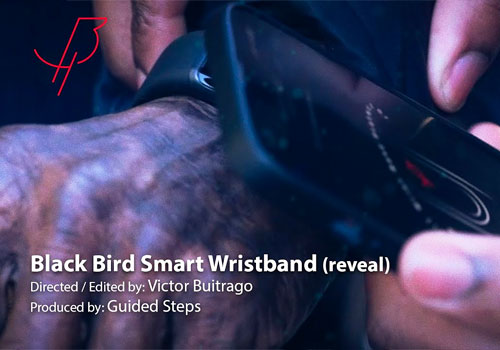 MUSE Advertising Awards - Black Bird Smart Wristband (reveal)