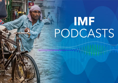 MUSE Advertising Awards - IMF Podcasts Branding