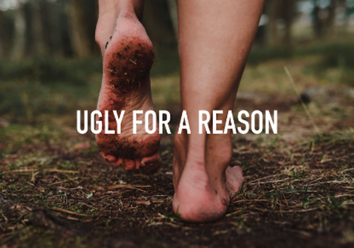 MUSE Advertising Awards - Ugly For a Reason