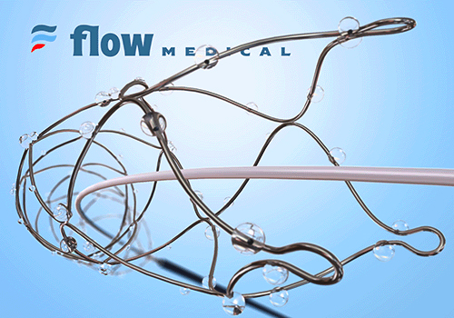 MUSE Advertising Awards - Flow Medical Solutions Catheter