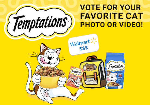 MUSE Advertising Awards - TEMPTATIONS™ CATS LOSE THEIR COOL™