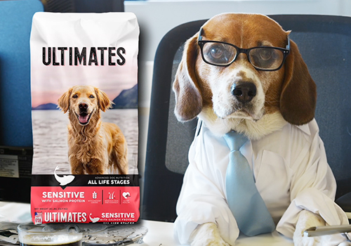 MUSE Advertising Awards - Devine Feed & Pet Ultimates
