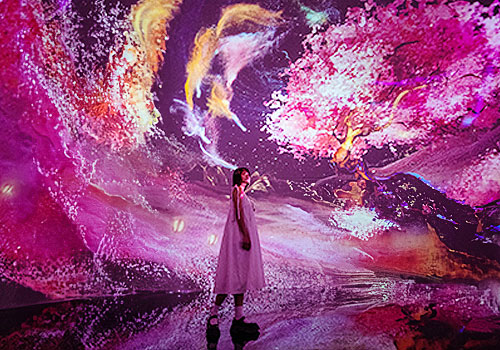 MUSE Advertising Awards - Journey to the Unexplored,Immersive Digital Art Exhibition