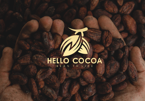 MUSE Advertising Awards - Hello Cocoa