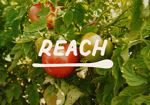 MUSE Advertising Awards - Reach