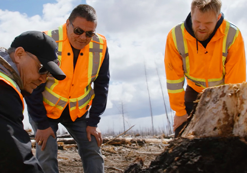 MUSE Advertising Awards - First Nations Taking the Lead in Forestry in B.C.