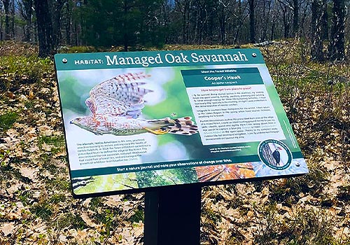 MUSE Advertising Awards - Kimball Wildlife Forest Interpretive Trail Signs