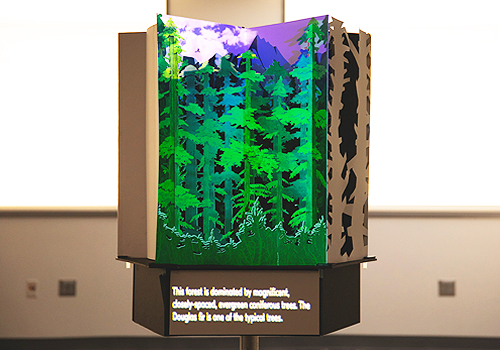 MUSE Advertising Awards - Magical Pop-up Book: The Growth and Tales of Douglas Fir