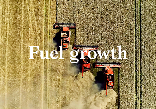 MUSE Advertising Awards - McKinsey Sustainability. Beyond Why to How.