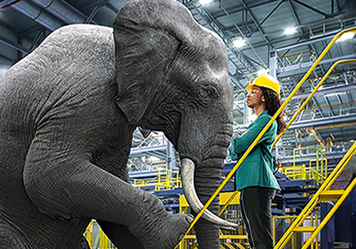 MUSE Advertising Awards - Addressing the Elephant in the Room