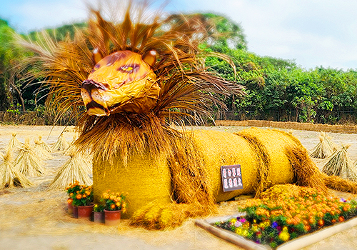 MUSE Advertising Awards - 2024 Yunlin Straw Sauerkraut  Festival project