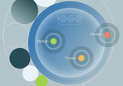 MUSE Winner - BPS Bioscience 