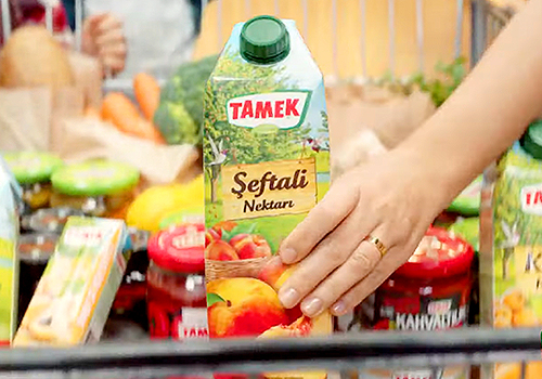MUSE Advertising Awards - Tamek Web Site
