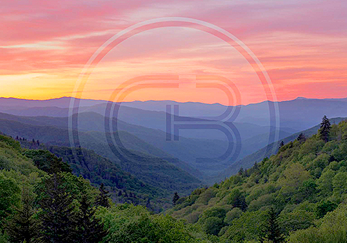 MUSE Winner - Carter Bank Logos