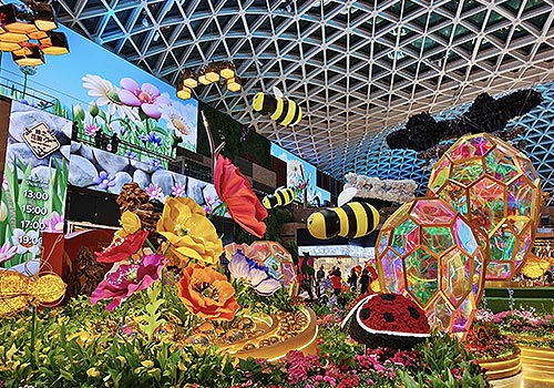 MUSE Winner - Bee Odyssey Show 