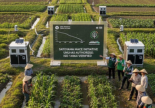 MUSE Advertising Awards - Carbon, Land, and Communities Rising