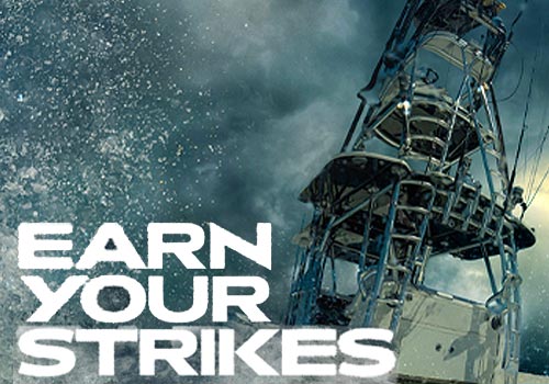 “Earn Your Strikes” – Video / Nature / Wildlife , 2026 MUSE Creative Awards Winner