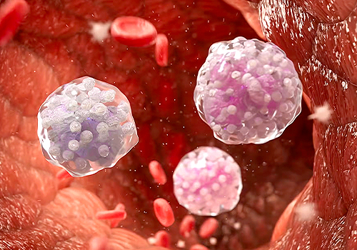 2026 MUSE Creative Awards Winner - Granulocytopoiesis: Where Immune Cells Begin