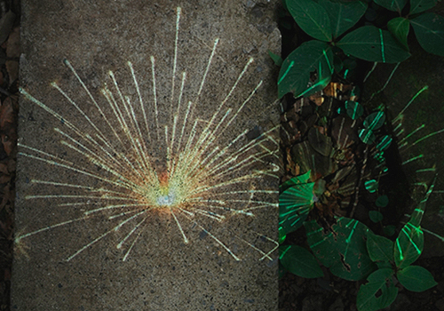 2026 MUSE Creative Awards Winner - ELECTRONIC FIREWORKS