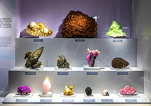 2026 MUSE Creative Awards Winner - Interactive Smart Collection & Discovery Wall