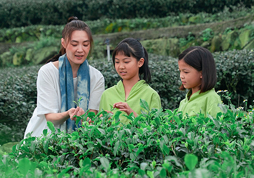 2026 MUSE Creative Awards Winner - Reflection on the Land: The Rich Flavors of Yunlin