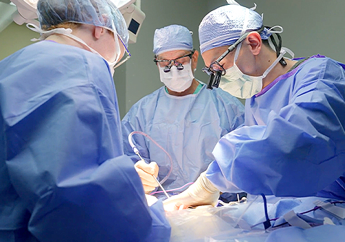 MUSE Winner - Advancing Veterinary Medicine: Our Stories: Dr. Sean Aiken by National Veterinary Associates