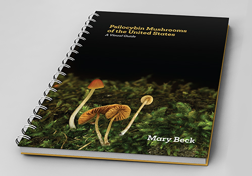 2026 MUSE Creative Awards Winner - Psilocybin Mushrooms, A Visual Guide, Cover Design