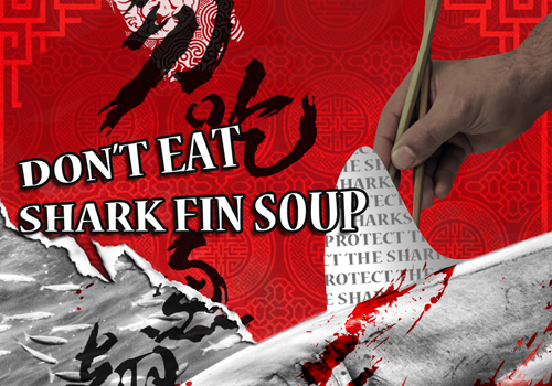 MUSE Advertising Awards - DON’T EAT SHARK FIN SOUP