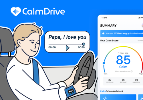 MUSE Advertising Awards - Calmdrive, Intelligent system to prevent angry driving