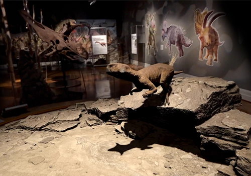 MUSE Advertising Awards - Photorealistic AR Psittacosaurus