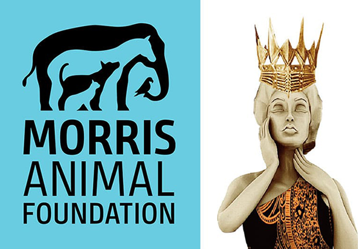 Morris Animal Foundation Wins MUSE Creative Awards for New Logo And Ad Campaign